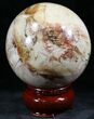 Colorful Petrified Wood Sphere #26635-1